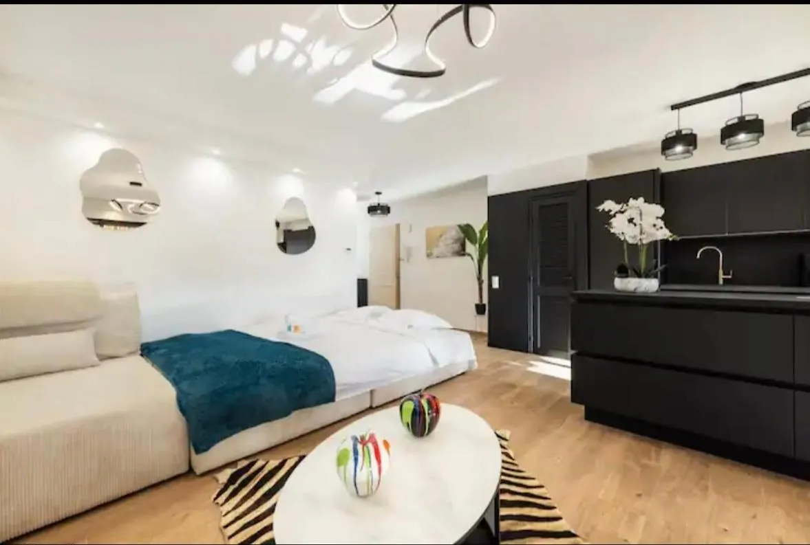 Appartement Haut Standing - Luxury Apartment - Cannes- Croisette- Centre Ville- Vue Tennis -Vue Piscine -Parking Prive - Terrasse- Plage  Cannes